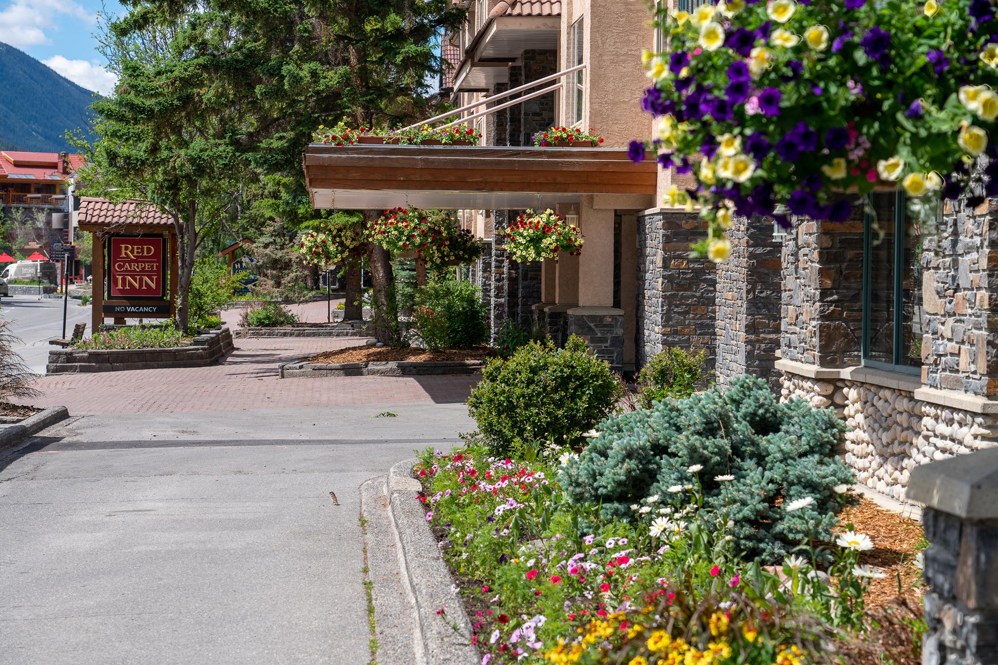 Red Carpet Inn Banff Kültér fotó